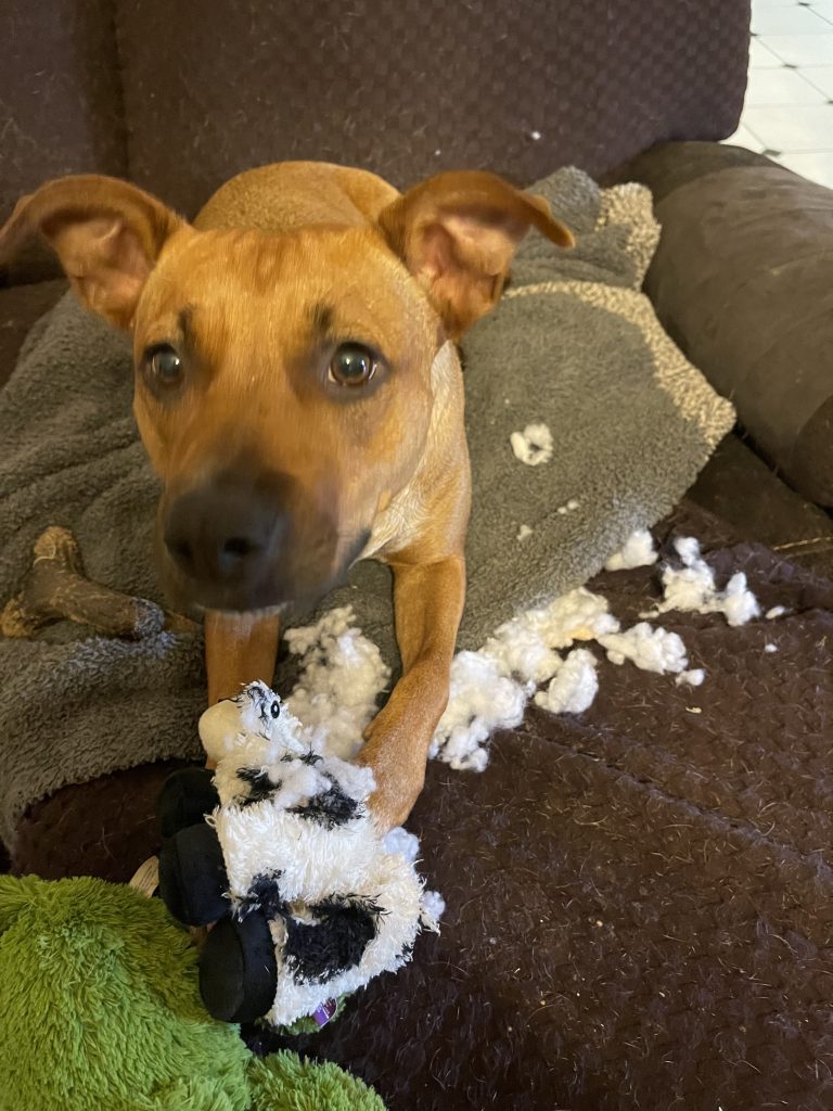 It's not going to squeak any more. Ever.